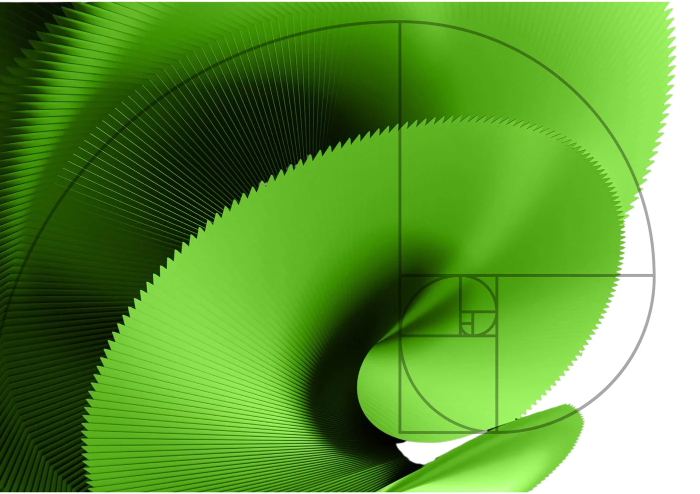 Motions e Renders